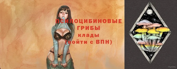 метадон Приозерск
