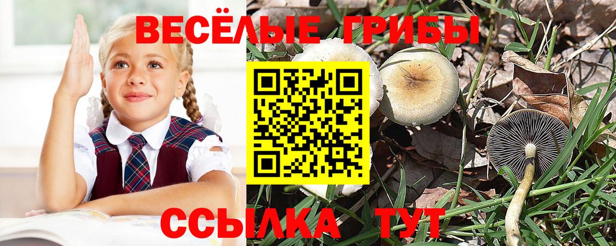 Псилоцибиновые грибы мухоморы  Галлюциногенные грибы Magic Shrooms  Вход с VPN  Краснодар 