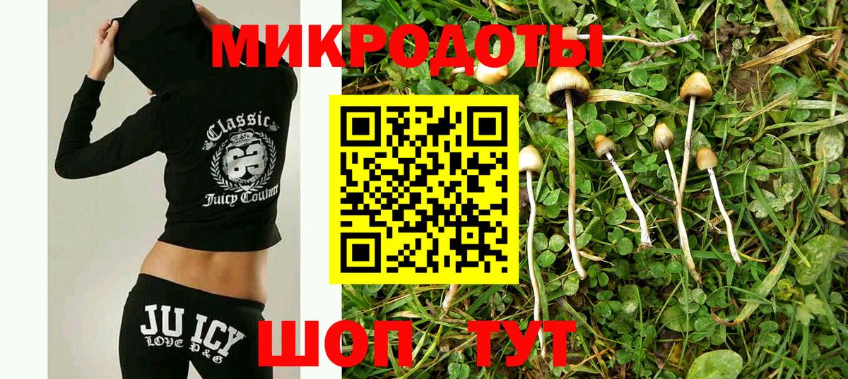 Галлюциногенные грибы ЛСД Краснодар