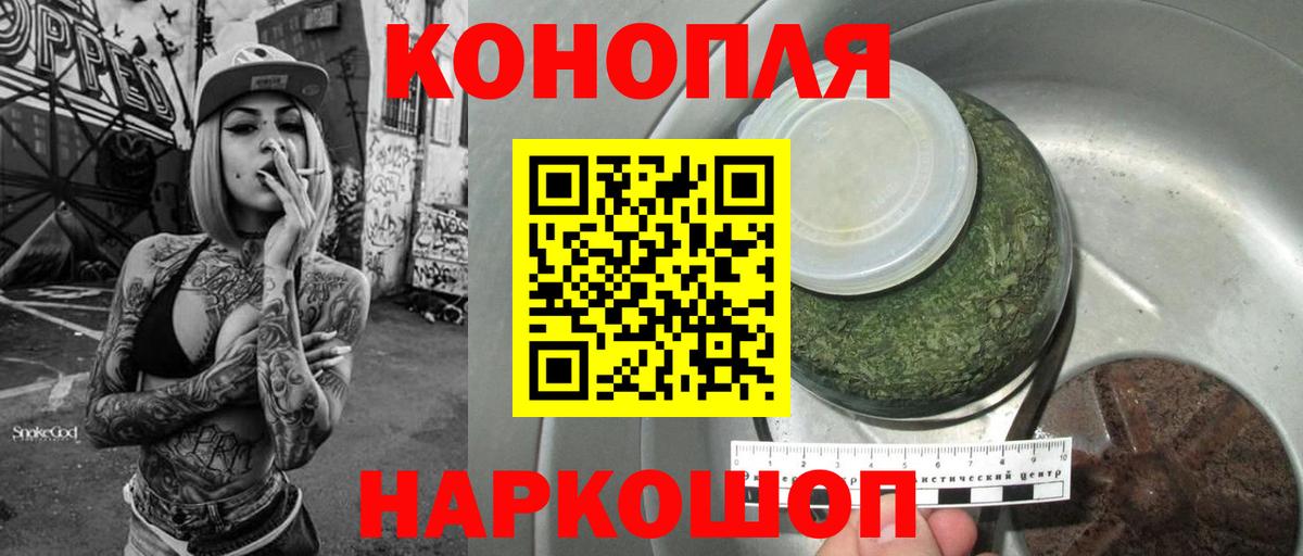 Каннабис сатива Краснодар